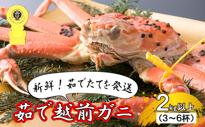 かに 訳あり 茹で 越前がに 約2kg以上3～6杯 脚折れ含む ずわい蟹 ボイルカニ ボイル