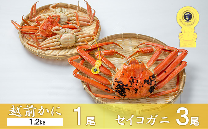 茹で越前ガニ【期間限定】食通もうなる本場の味をぜひ、ご堪能ください。セイコガニセット 約1.2kg＋セイコガニ3杯 越前がに 越前かに 越前カニ カニ ボイルガニ 蟹 