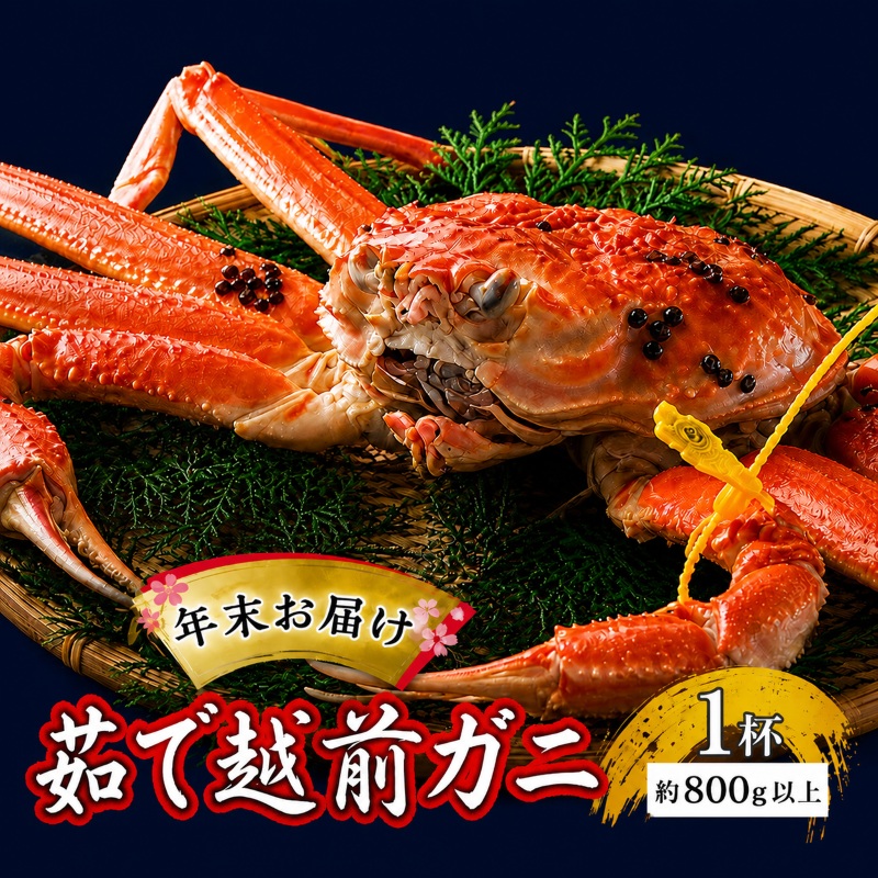 茹で越前ガニ【年末お届け】食通もうなる本場の味をぜひ、ご堪能ください。約800g以上×1杯 越前がに 越前かに 越前カニ ずわいがに かに カニ ボイルガニ 蟹 