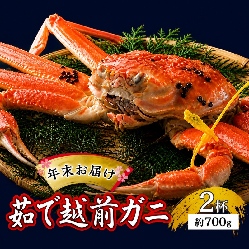 茹で越前ガニ【年末お届け】食通もうなる本場の味をぜひ、ご堪能ください。約700g 2尾セット 越前がに 越前かに 越前カニ カニ ボイルガニ 蟹 