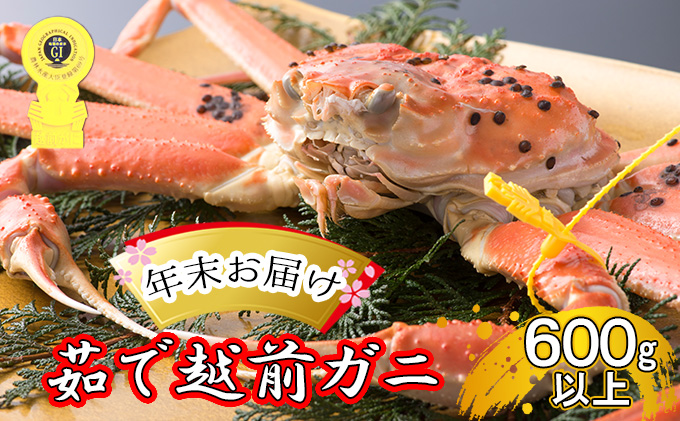 かに 年末配送 茹で 越前がに 約600g以上 1杯 ずわい蟹 ボイルカニ ボイル 魚介類