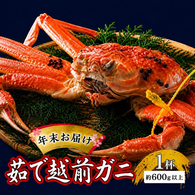 かに 年末配送 茹で 越前がに 約600g以上 1杯 ずわい蟹 ボイルカニ ボイル 魚介類