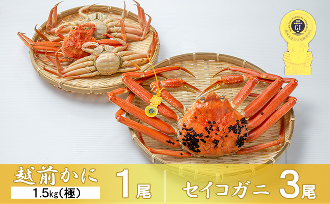 かに 期間限定 茹で 越前ガニ 約1.5kg(極)＋ せいこがに 3杯セット ボイルカニ ボイル