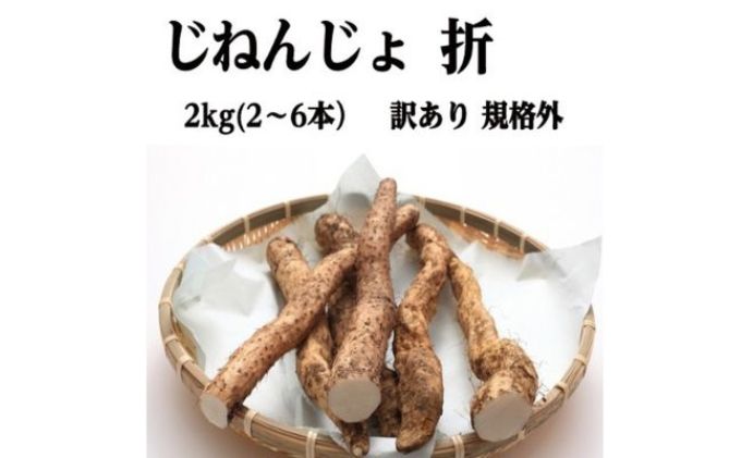 自然薯 訳あり 規格外 2kg（2-6本）