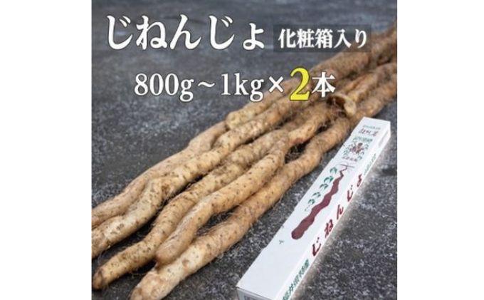 自然薯 800g～1kg×2本 化粧箱入