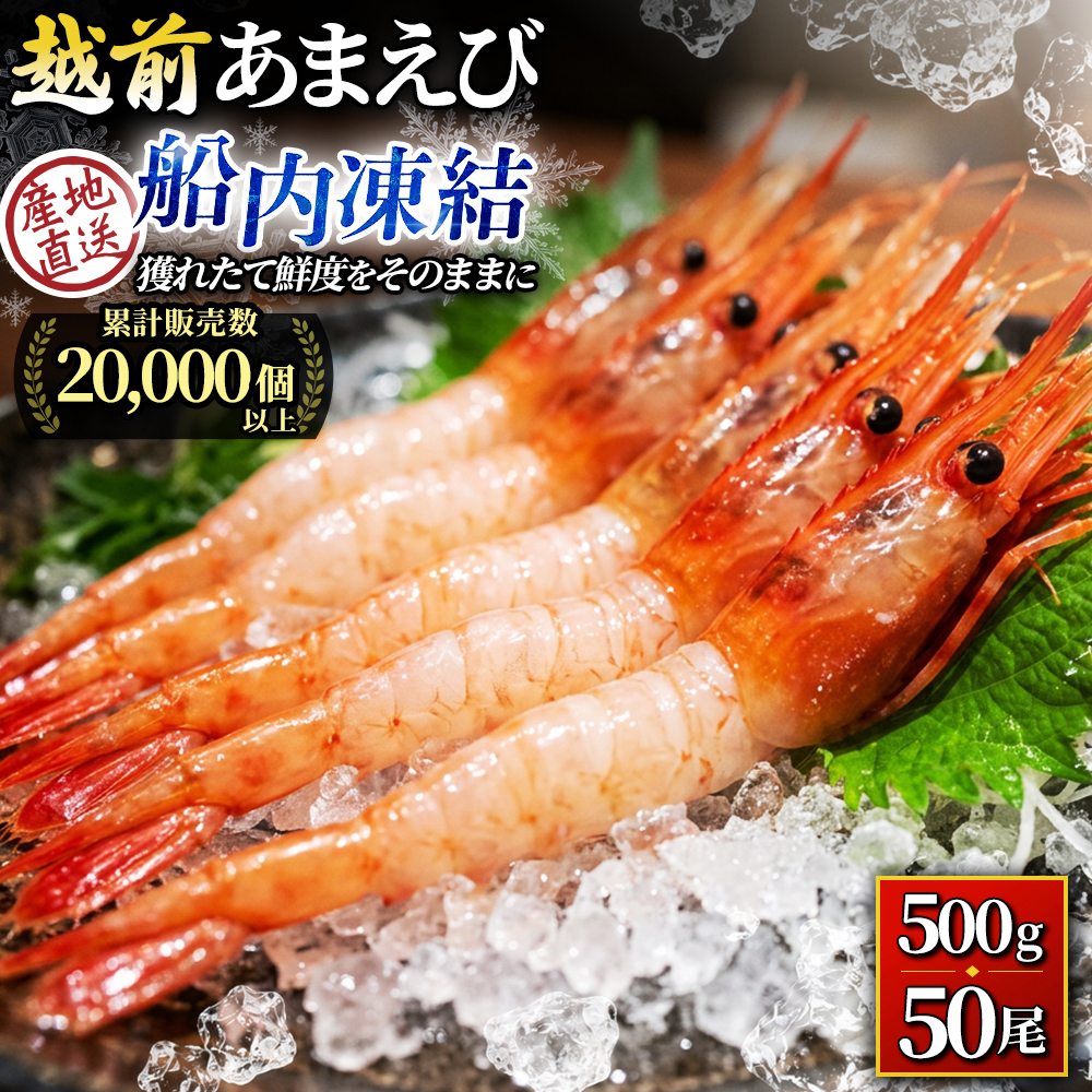 甘えび 刺身 500g 約50尾 越前甘えび 子なし 生食用 冷凍 えび エビ 海老 甘海老 あまえび 海鮮 魚介 魚介類 国産 日本海 福井県 若狭町