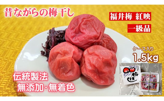 昔ながらの梅干し 一級品（福井県若狭町）伝統製法にこだわり仕上げた無添加・無着色の梅干し／ケース入り1.5kg ご飯のお供 肉厚 種が小さい 紅映 天然塩 鮮やか 芳醇な香り コク 紫蘇漬け 二度漬け すっぱい 