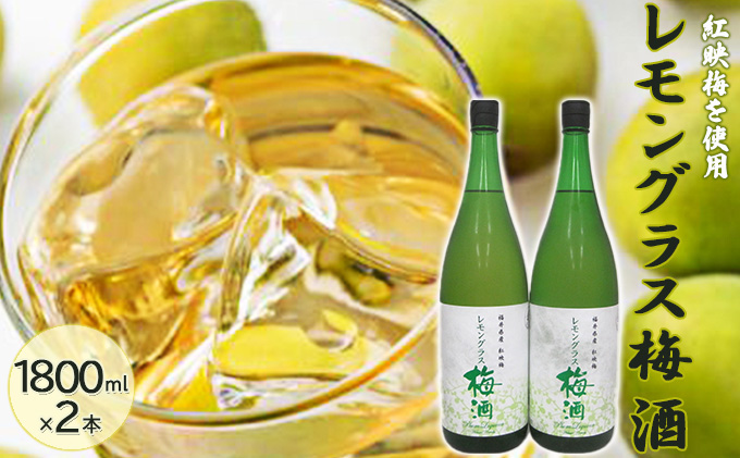 父の日 福井県産 紅映梅を使用した レモングラス梅酒（1800ml）2本セット　 お酒 洋酒 リキュール リキュール類