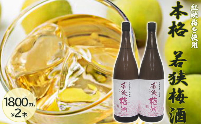 父の日 福井県産 紅映梅を使用した本格梅酒 若狭梅酒（1800ml）2本セット　 お酒 洋酒 リキュール リキュール類