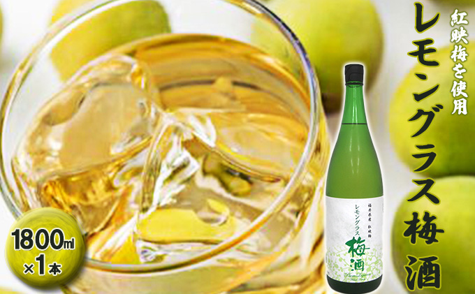父の日 福井県産 紅映梅を使用した レモングラス梅酒（1800ml）1本　 お酒 洋酒 リキュール リキュール類