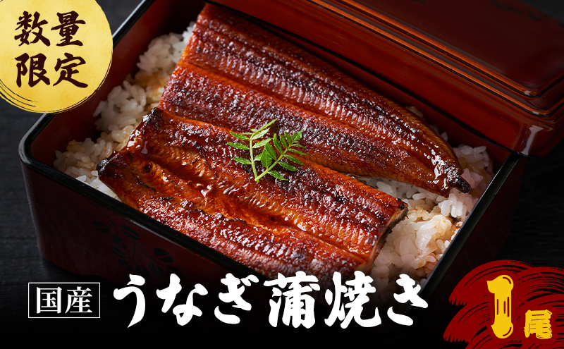 父の日 鰻 数量限定 国産 うなぎ蒲焼 1尾 国産鰻 蒲焼 うなぎの蒲焼き 惣菜 おかず 魚介 冷凍