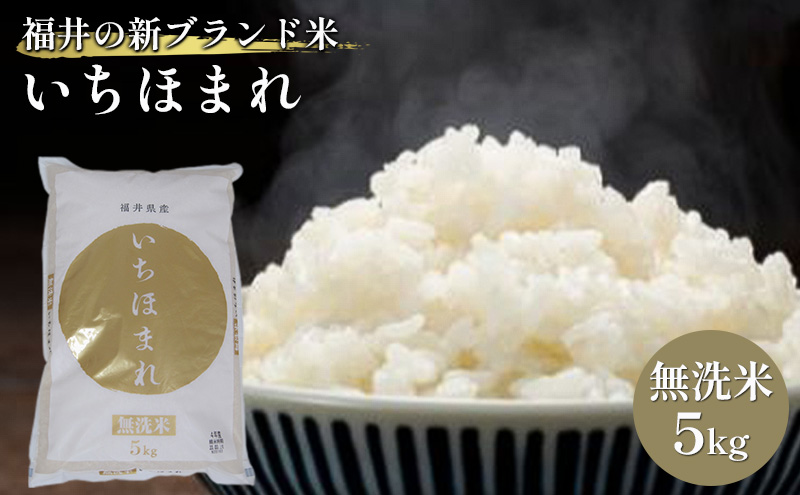 無洗米　いちほまれ5kg（令和7年産）福井の新ブランド米 お米 白米 精米 名作 粒感 粘り 絶妙 優しい 甘さ 