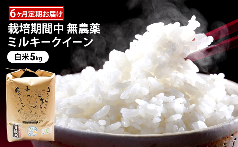 米 定期便 6ヶ月 栽培期間中 無農薬 ミルキークイーン 5kg 白米 精米 こめコメ 福井県認証特別栽培米 化学肥料化学合成農薬不使用 ブランド米 ご飯 ミルキークィーン 6回 半年 お楽しみ 福井 福井県 若狭町