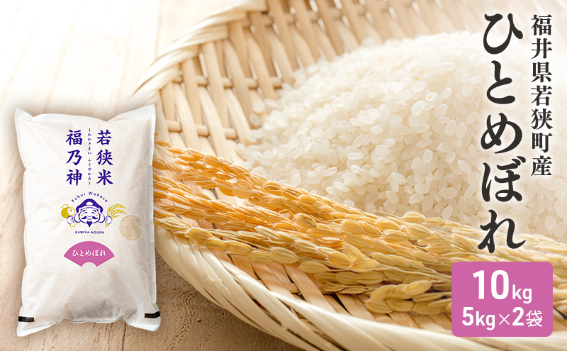 令和7年産 福井県若狭町 ひとめぼれ （一等米） 10kg（神谷農園） 5kg×2袋 お米 ブランド米 銘柄米 ご飯 おにぎり お弁当 産地直送 和食 主食