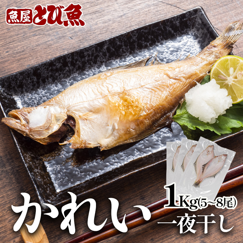エテカレイ干物 1kg(5～8尾) 魚 干物 エテカレイ 加工食品 ひらき 魚介 魚介類 魚の開き 焼き魚 焼魚 干物 ひもの おかず 福井県