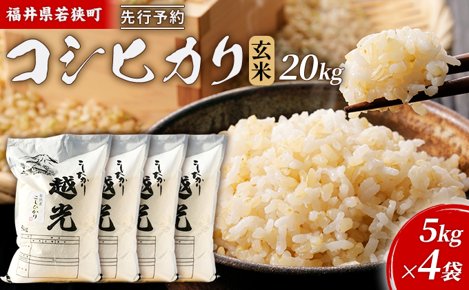 【1月お届け】令和8年産 若狭町コシヒカリ玄米20kg 米 お米 こしひかり 福井県