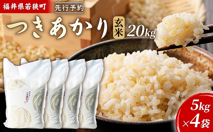 【11月お届け】令和8年産 若狭町ツキアカリ玄米20kg 米 お米 つきあかり 福井県
