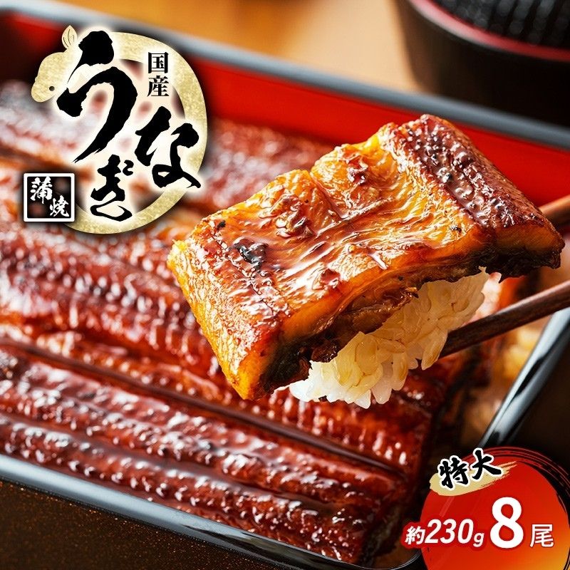 特大うなぎの蒲焼き 国産(愛知県産) 約230g前後 8尾
