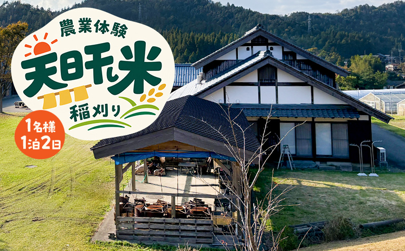 ～天日干し米　稲刈り～　農業体験　1名様　　1泊2日