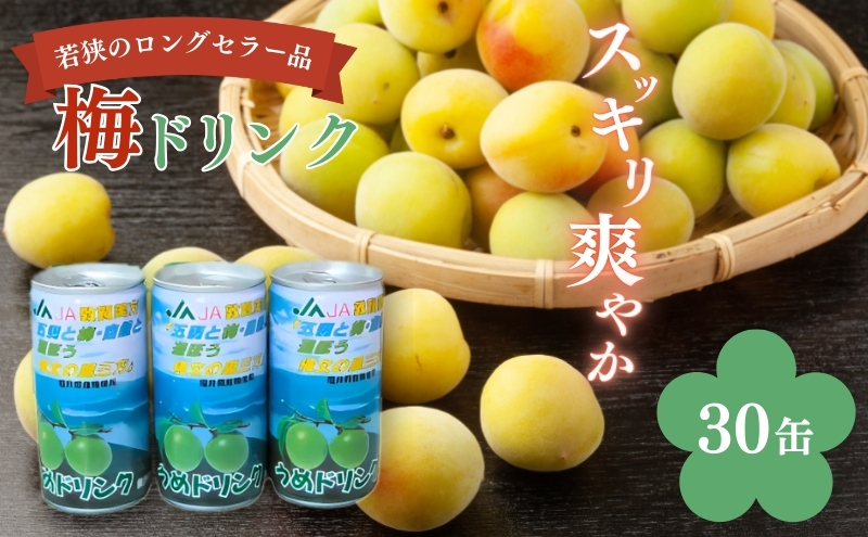 梅ドリンク　1ケース30缶 加工食品 ジュース うめ ウメ 