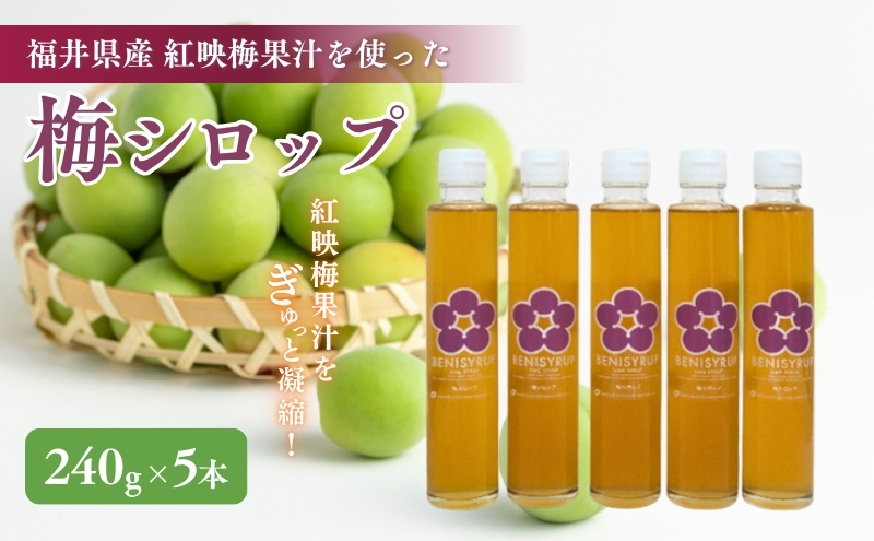 梅シロップ（ベニシロップ）5本 飲料 ドリンク 果実飲料 ジュース 飲料類 
