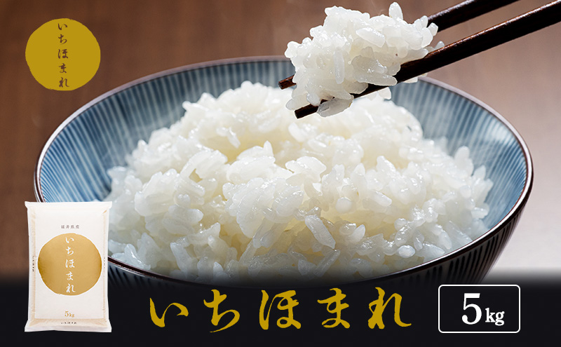 米 令和7年産 いちほまれ 5kg 福井 高級ブランド米 お米 おこめ コメ こめ 白米 精米 ご飯 ごはん 福井県